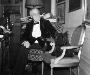 President Franklin D. Roosevelt is shown with Fala in this White House photo taken on December 21, 1941. Image Credit: U.S. National Archives